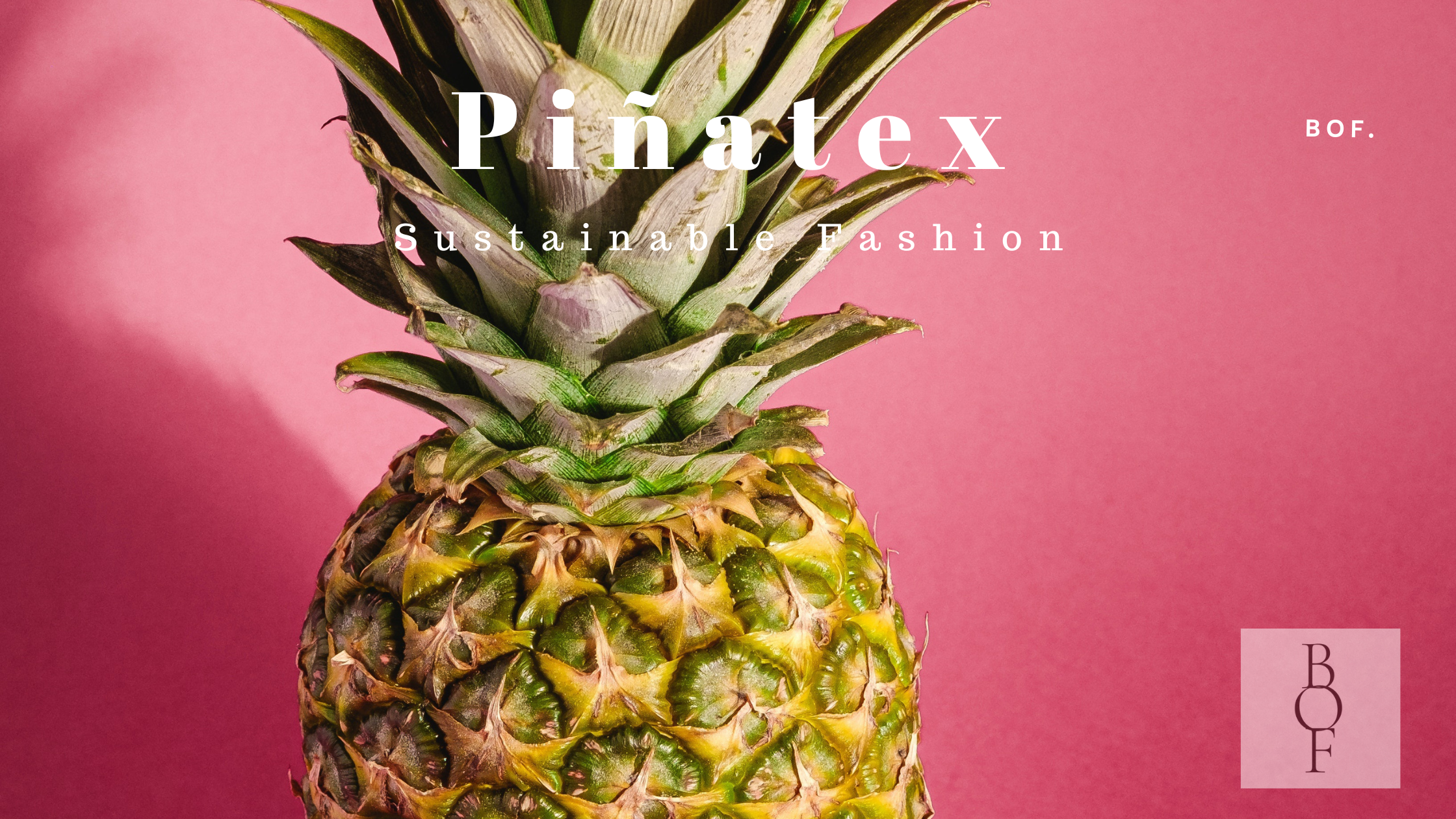 Exploring Piñatex: The Sustainable Alternative to Leather
